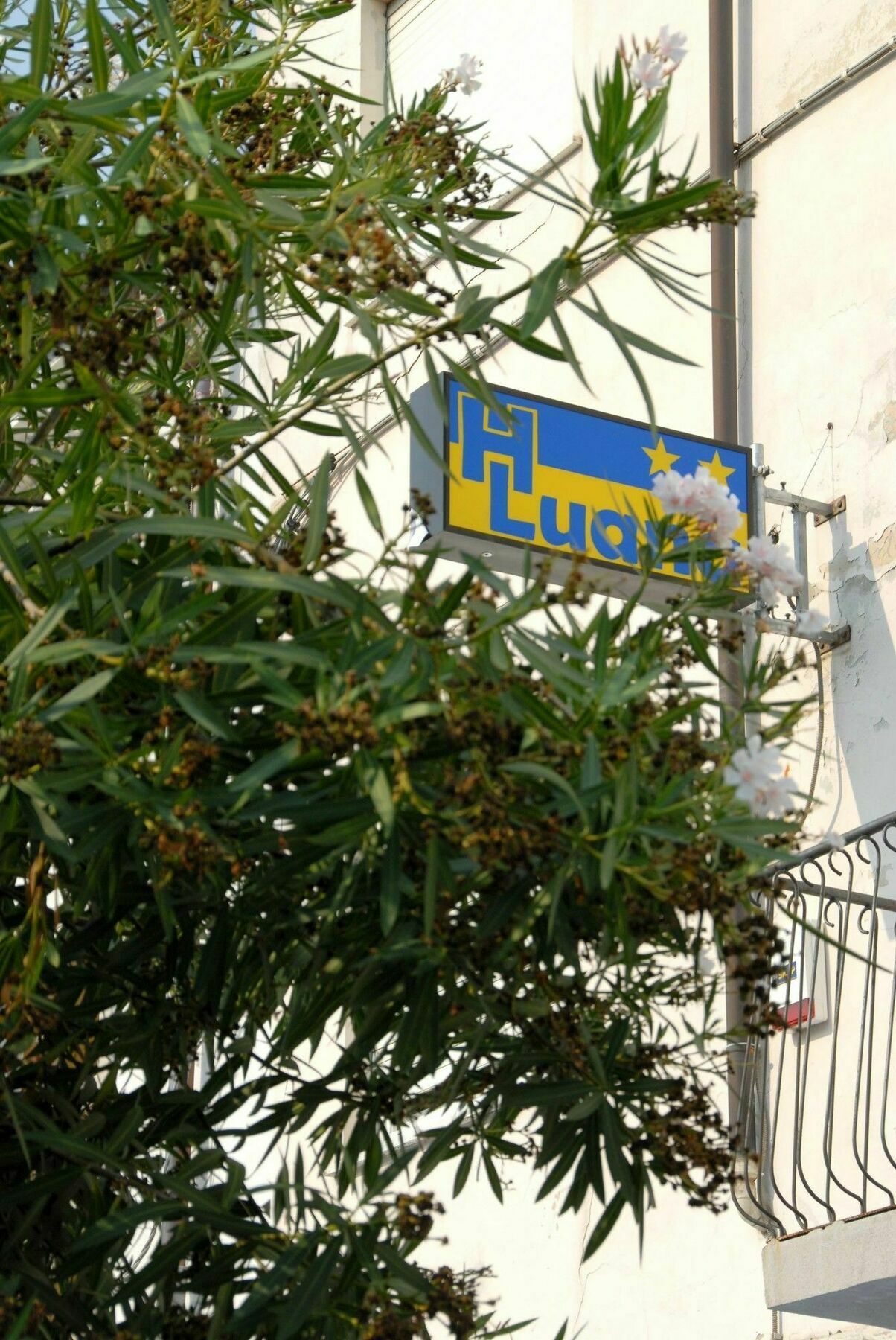 Hotel Luana Viareggio Eksteriør bilde
